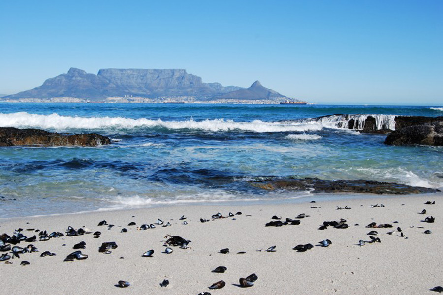 Big Bay Beach in Bloubergstrand - Blouberg Holiday Rentals